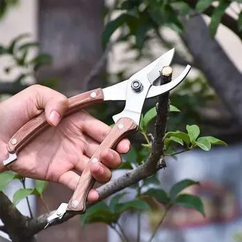 Професионални Остри Ножици За Подрязване На Жив Плет Ножици За Дървета Винарите Многофункционални Ножици За Подрязване На Градински Инструменти